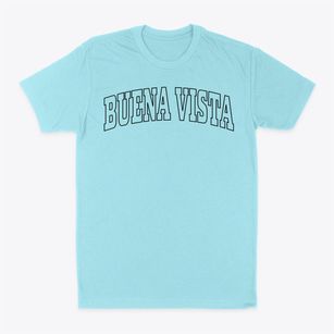 Buena Vista Virginia Trendy Block Classic Dad T-Shirt