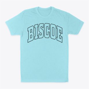 Biscoe North Carolina Trendy Block Classic Dad T-Shirt