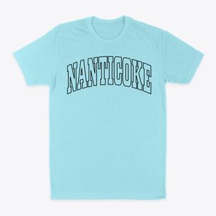 Nanticoke New York Trendy Block Classic Dad T-Shirt