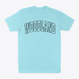 Woodland Wisconsin Trendy Block Classic Dad T-Shirt