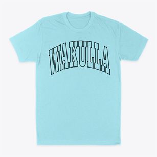 Wakulla North Carolina Trendy Block Classic Dad T-Shirt