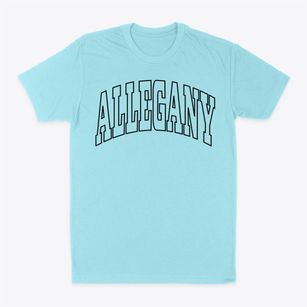 Allegany New York Trendy Block Classic Dad T-Shirt