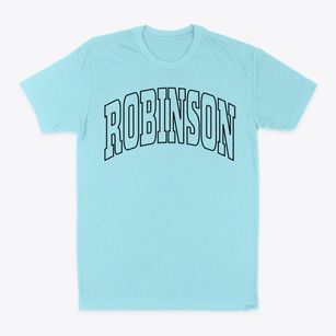Robinson Illinois Trendy Block Classic Dad T-Shirt