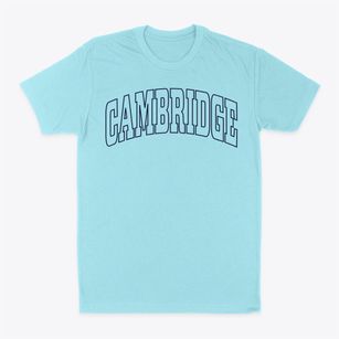 Cambridge New York Trendy Block Classic Dad T-Shirt