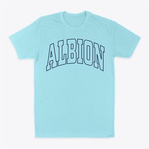 Albion New York Trendy Block Classic Dad T-Shirt