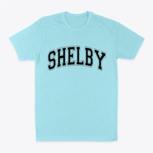 Shelby New York Varsity Classic Dad T-Shirt