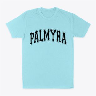 Palmyra Nebraska Varsity Classic Dad T-Shirt