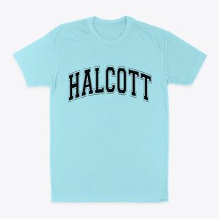 Halcott New York Varsity Classic Dad T-Shirt