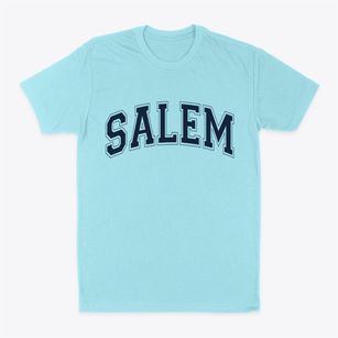 Salem Illinois Varsity Classic Dad T-Shirt
