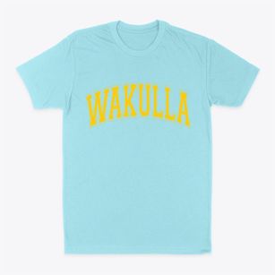 Wakulla North Carolina Varsity Classic Dad T-Shirt