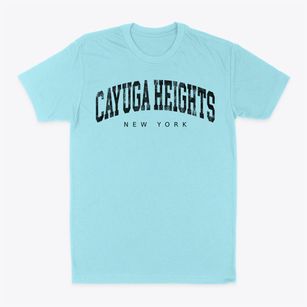 Cayuga Heights New York Urban Vibe Classic Dad T-Shirt