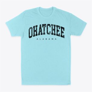 Ohatchee Alabama Urban Vibe Classic Dad T-Shirt