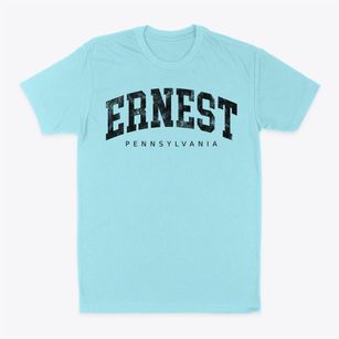 Ernest Pennsylvania Urban Vibe Classic Dad T-Shirt