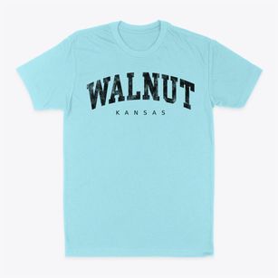 Walnut Kansas Urban Vibe Classic Dad T-Shirt