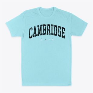 Cambridge Ohio Urban Vibe Classic Dad T-Shirt