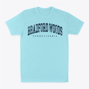 Bradford Woods Pennsylvania Urban Vibe Classic Dad T-Shirt