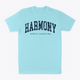 Harmony North Carolina Urban Vibe Classic Dad T-Shirt