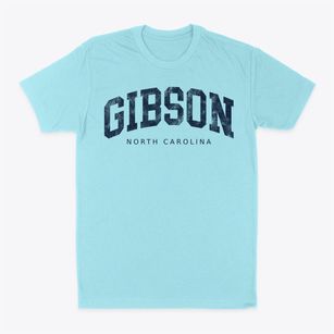 Gibson North Carolina Urban Vibe Classic Dad T-Shirt