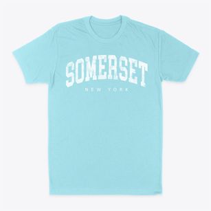 Somerset New York Urban Vibe Classic Dad T-Shirt
