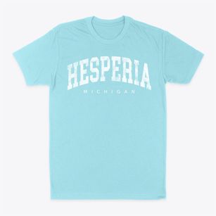 Hesperia Michigan Urban Vibe Classic Dad T-Shirt