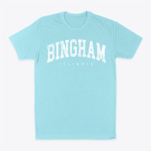 Bingham Illinois Urban Vibe Classic Dad T-Shirt