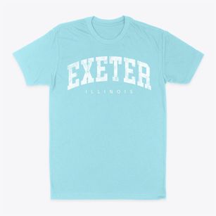Exeter Illinois Urban Vibe Classic Dad T-Shirt