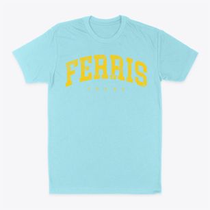 Ferris Texas Urban Vibe Classic Dad T-Shirt