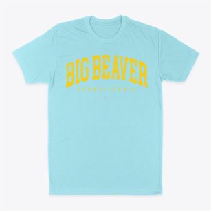 Big Beaver Pennsylvania Urban Vibe Classic Dad T-Shirt