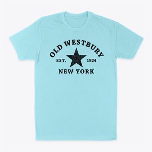 Old Westbury New York Star Classic Dad T-Shirt