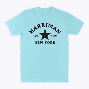 Harriman New York Star Classic Dad T-Shirt