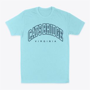 Cats Bridge Virginia Inline Classic Dad T-Shirt