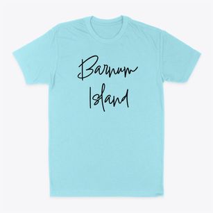 Barnum Island New York Freestyle Classic Dad T-Shirt