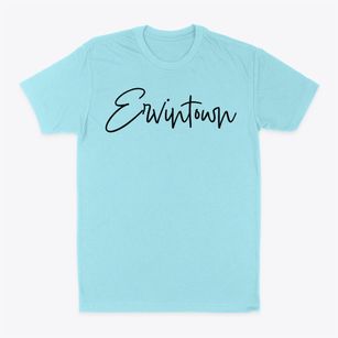 Ervintown North Carolina Freestyle Classic Dad T-Shirt