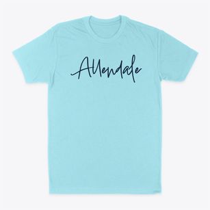 Allendale Illinois Freestyle Classic Dad T-Shirt