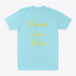 Princess Anne Plaza Virginia Freestyle Classic Dad T-Shirt