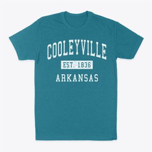 Cooleyville Arkansas Classic Established Classic Dad T-Shirt