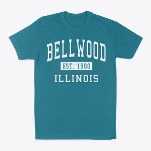 Bellwood Illinois Classic Established Classic Dad T-Shirt