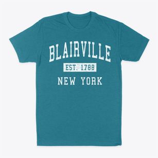 Blairville New York Classic Established Classic Dad T-Shirt