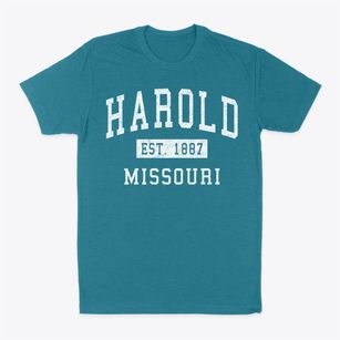Harold Missouri Classic Established Classic Dad T-Shirt