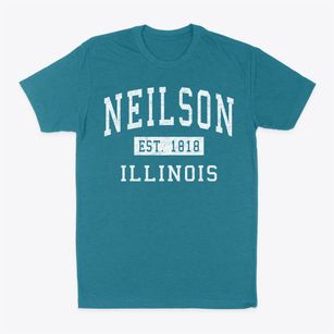 Neilson Illinois Classic Established Classic Dad T-Shirt