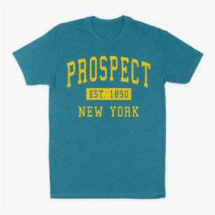 Prospect New York Classic Established Classic Dad T-Shirt