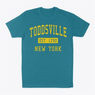 Toddsville New York Classic Established Classic Dad T-Shirt