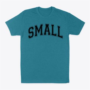 Small Middle School Varsity Arch Classic Dad T-Shirt