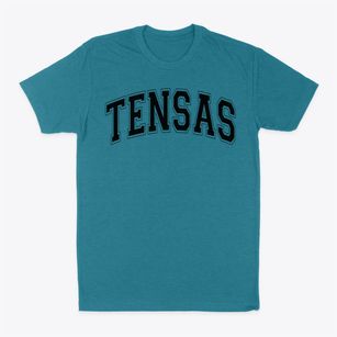 Tensas Charter School Varsity Arch Classic Dad T-Shirt