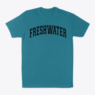 Freshwater Elementary School Varsity Arch Classic Dad T-Shirt