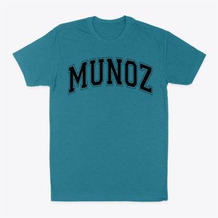 Ps 83 Munoz Luis Rivera Varsity Arch Classic Dad T-Shirt