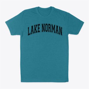 Lake Norman High School Varsity Arch Classic Dad T-Shirt