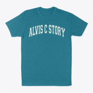 Alvis C Story Elementary School Varsity Arch Classic Dad T-Shirt