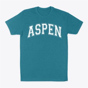 Aspen Elementary School Varsity Arch Classic Dad T-Shirt
