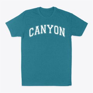 Canyon Elementary School Varsity Arch Classic Dad T-Shirt